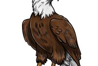 Learn How to Draw a Bald Eagle Full Body in Easy Steps Tips For Writing An Effective Resume And Cover Letter