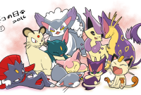 猫 の ポケモン How To Find Internships Related To My Field Of Study